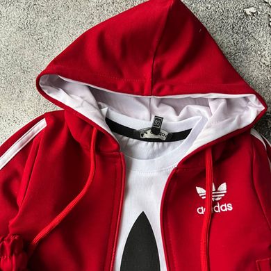 Спортивний костюм на хлопчика в стилі Adidas 697 Розмір 92 см, 98 см, 104 см