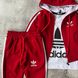 Спортивний костюм на хлопчика в стилі Adidas 697 Розмір 92 см, 98 см, 104 см