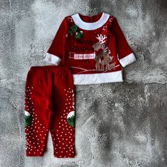 Теплий новорічний костюм на дівчинку 228 Розмір 74 см, 80 см, 86 см, 92 см